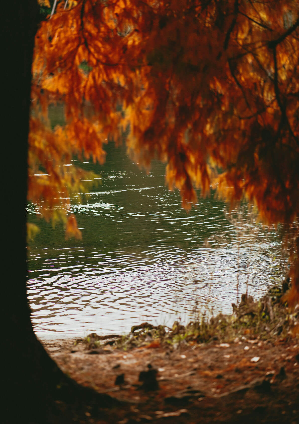 秋 ジュエリー レディース コーデ 服 ネイル 20代 30代 40代 50代 ファッション 秋冬 トレンド