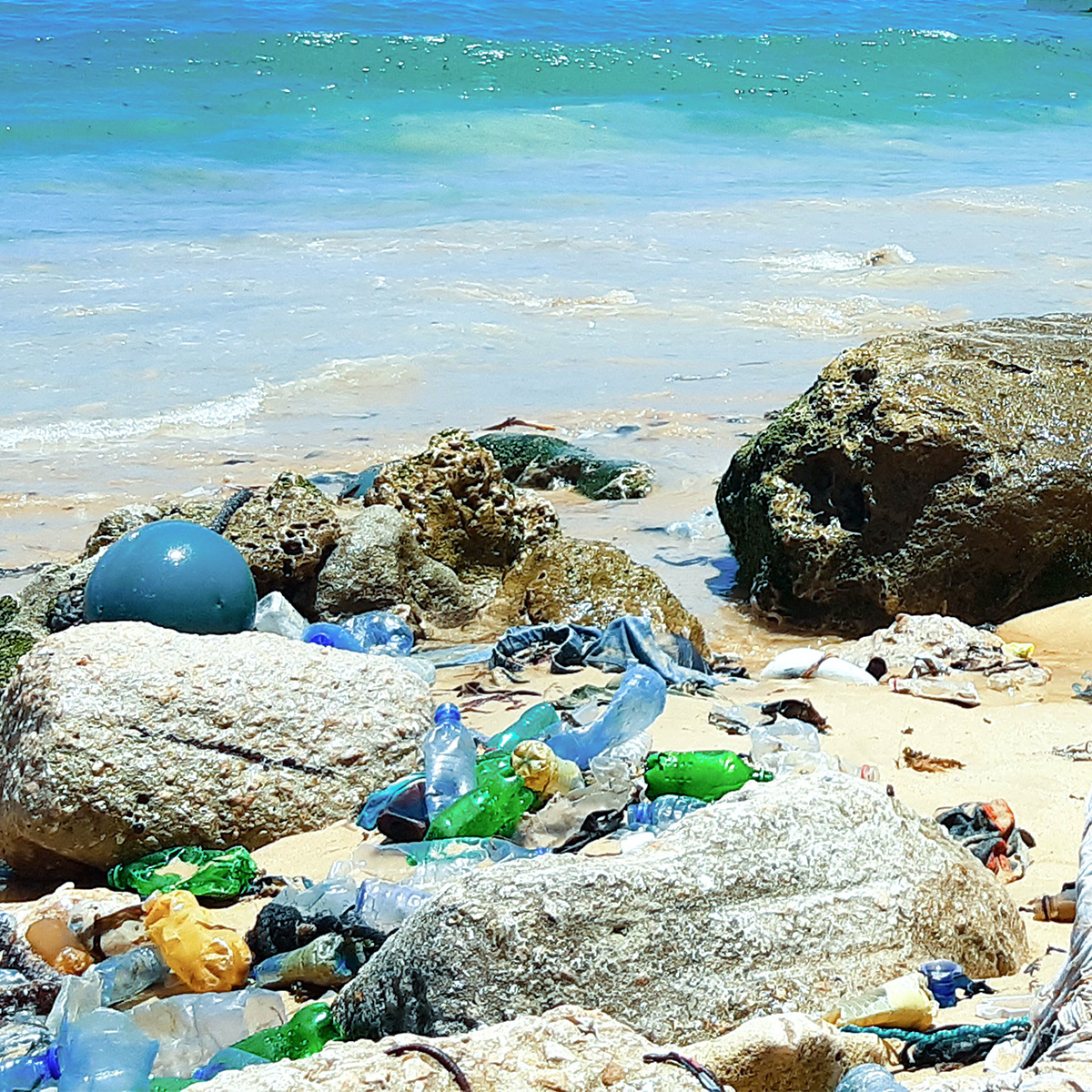 SDGs サステナブル ゴミ問題