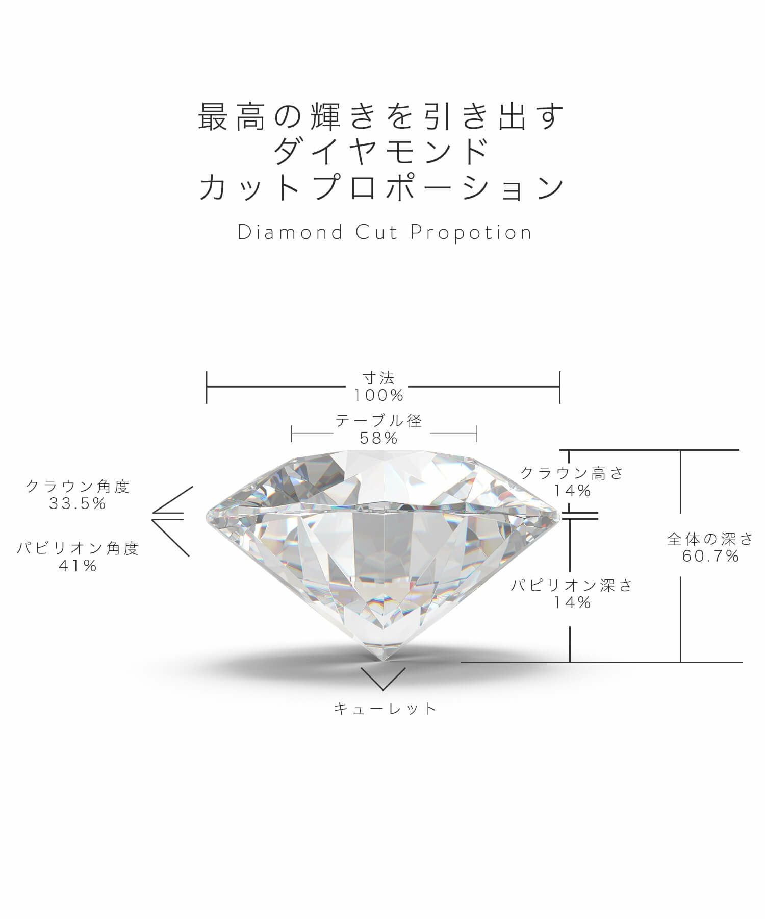 H&C Cut Pt900 Precious Diamond Stud Earrings EDELE -エデル- | Ops
