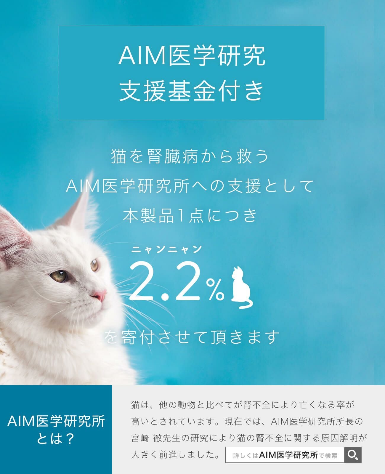 10K ネックレス チェーン ゴールド レディース シンプル 【zoi-cat-nk