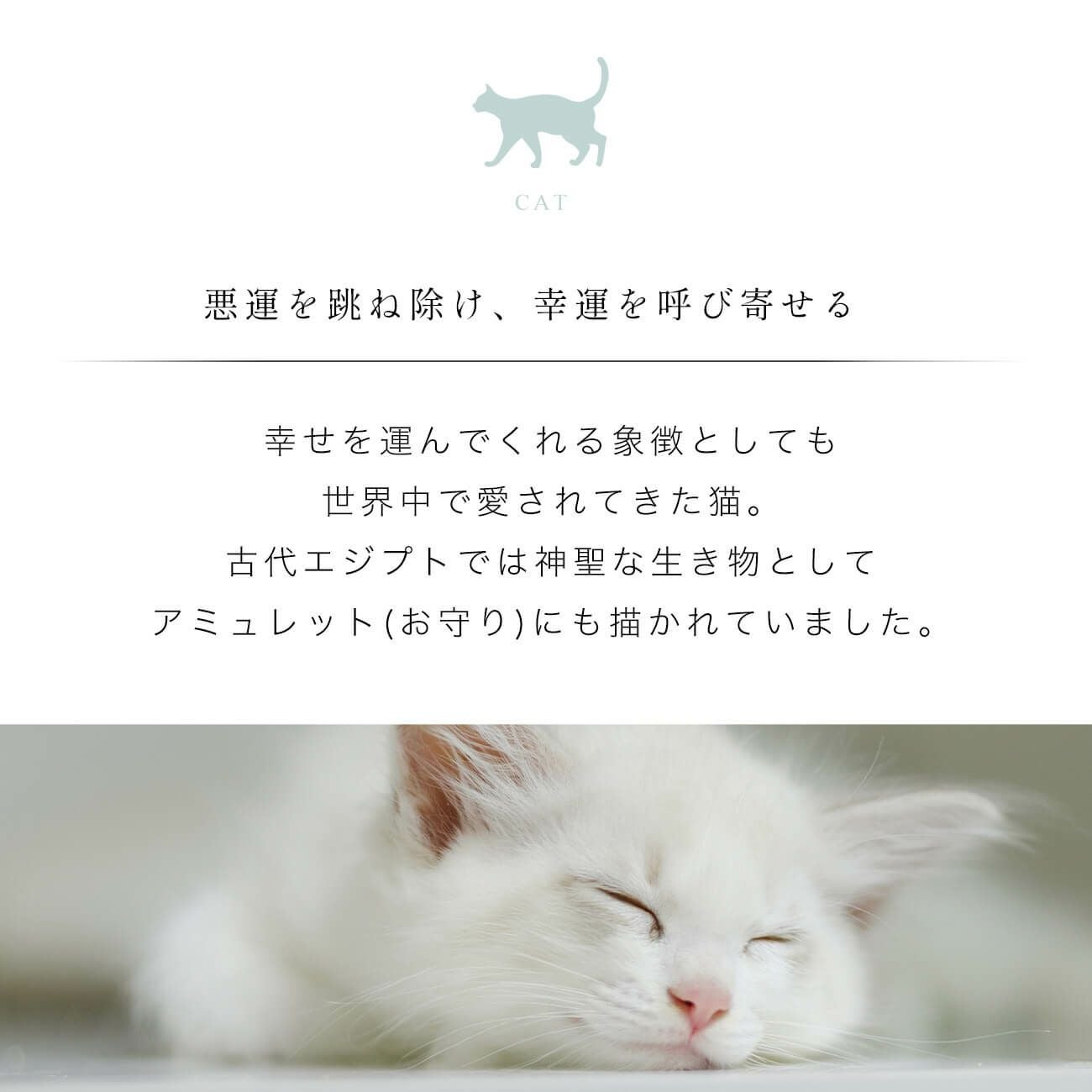 10K ネックレス チェーン ゴールド レディース シンプル 【zoi-cat-nk