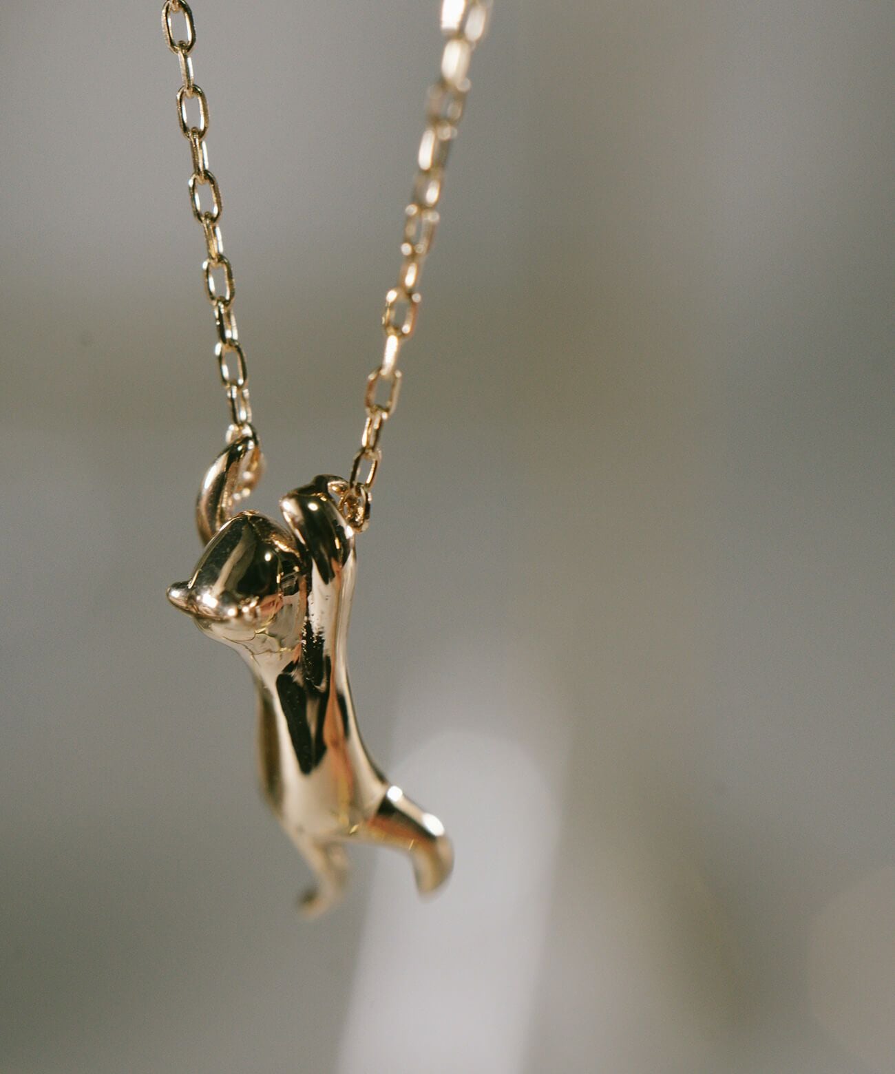 10K ネックレス チェーン ゴールド レディース シンプル 【zoi-cat-nk