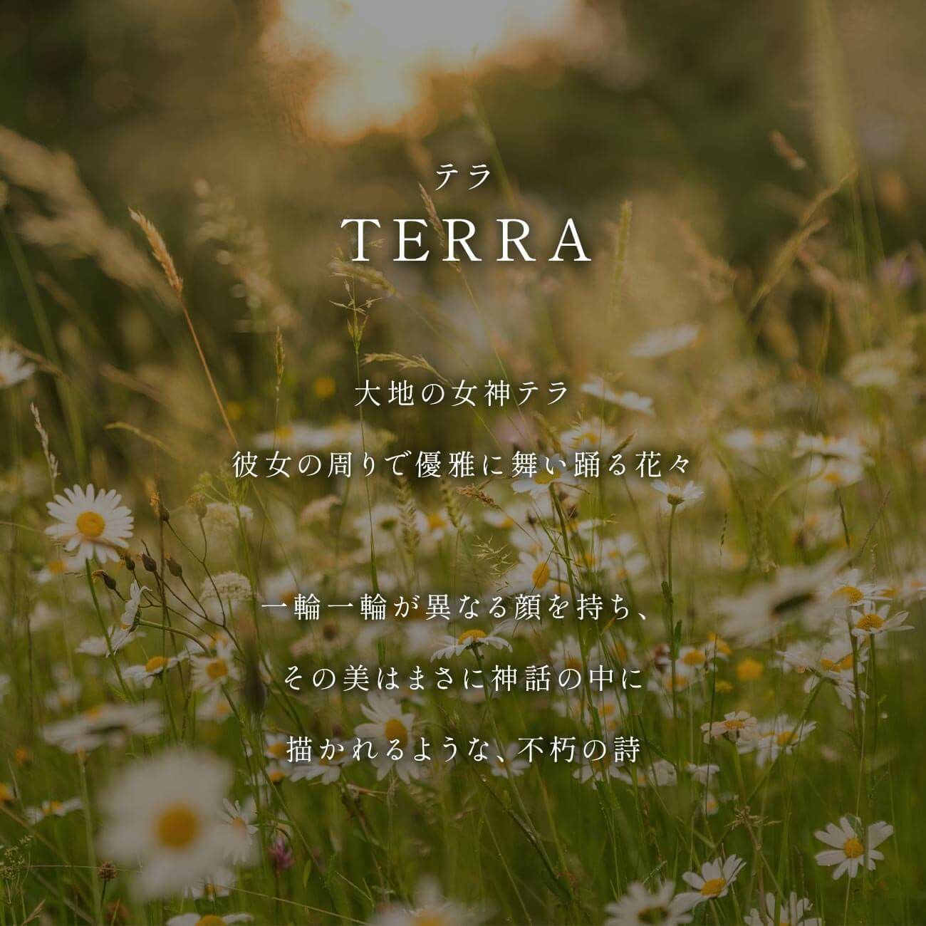 ダイヤモンド 天然石 リング 10K ゴールド 【terra-fiore テラ