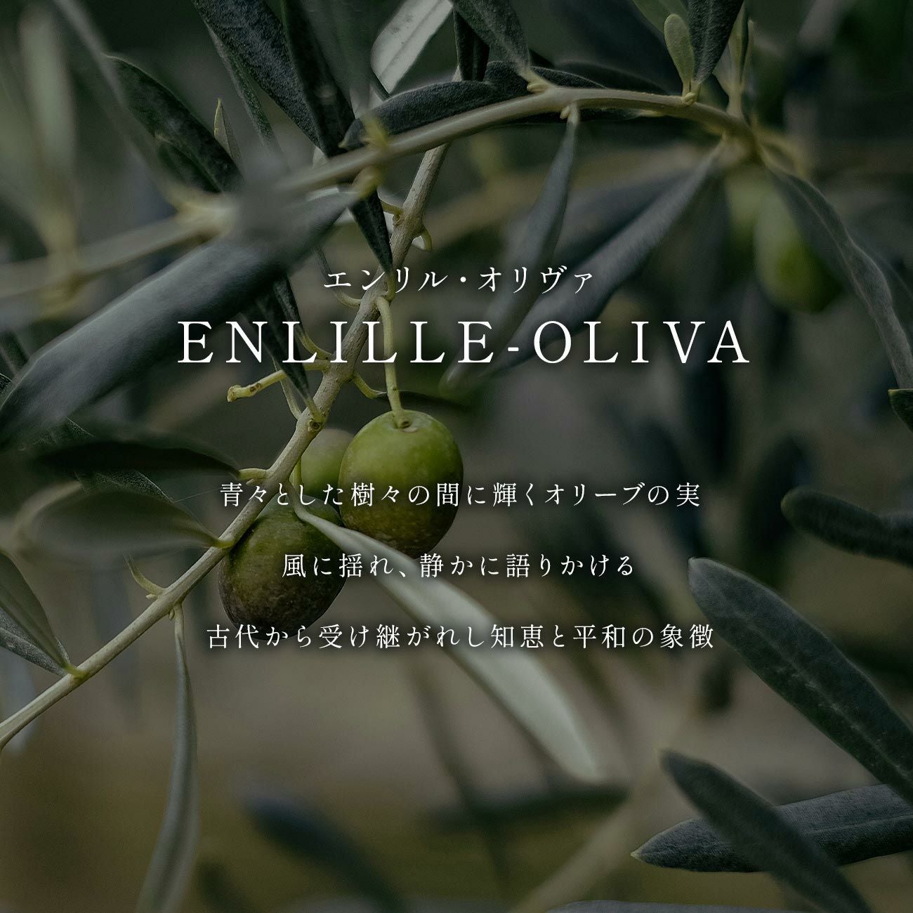 ペリドット ピアス 18金 18k 金 天然石 【enlille-oliva エンリル