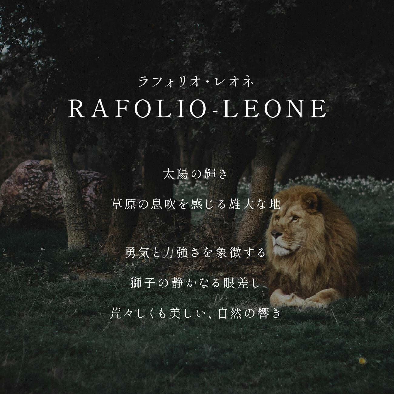 コイン ネックレス K10 10K レディース ライオン 【rafolio-leone
