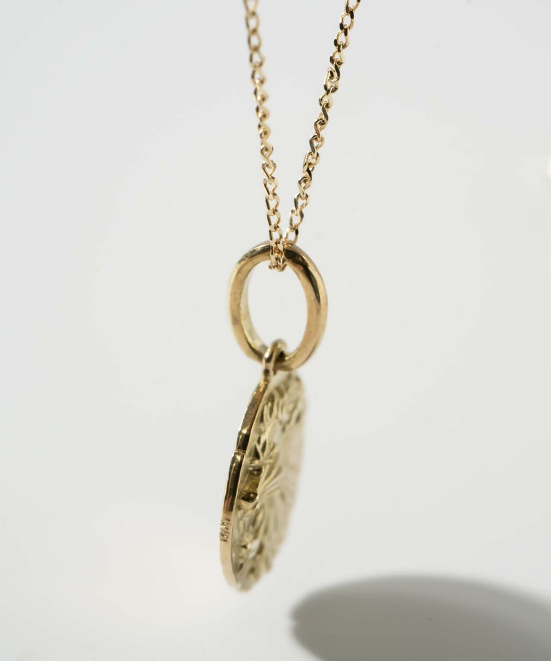 コインネックレスK1010Kレディースライオンアニマルモチーフ【rafolio-leoneラフォリオ・レオネ】コインネックレス金貨メダル10金リバーシブルネックレスゴールドネックレスゴールドペンダント丸ラウンド金属アレルギー対応小豆チェーン長さ45cm