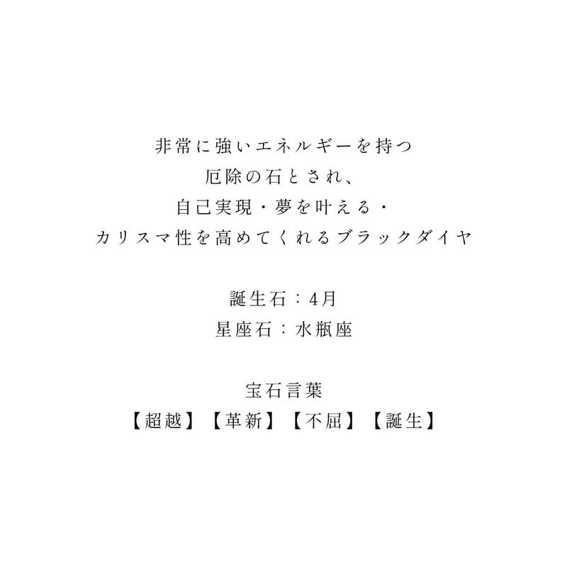 ブラックダイヤモンド ピアス プラチナ レディース メンズ 【rosa-notte ロサ・ノッテ】 ブラックダイヤ 1カラット ダイヤモンド 誕生石 ピアス 一粒 プラチナ900 Pt900 1ct つけっぱなし 小さめ プラチナダイヤモンドピアス 天然ダイヤ 金属アレルギー ジュエリー
