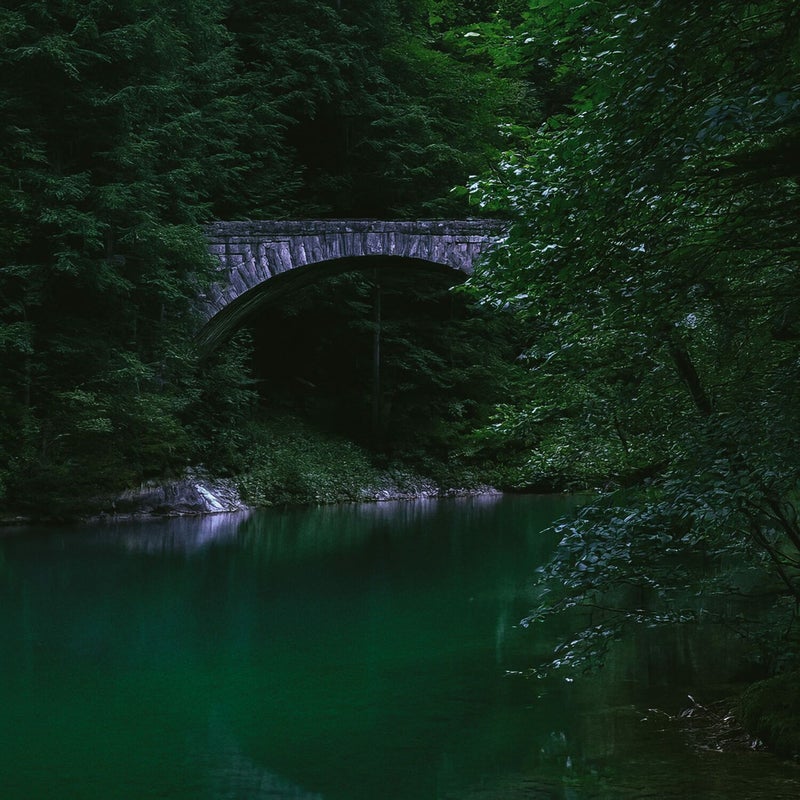 指輪 リング おしゃれ シンプル レディース シルバー925 ゴールド